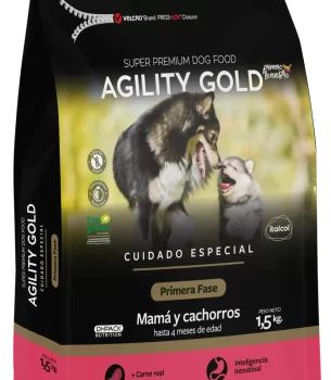 AGILITY GOLD PRIMERA FASE